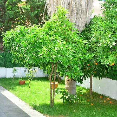 Hotel Rafael Manavgat